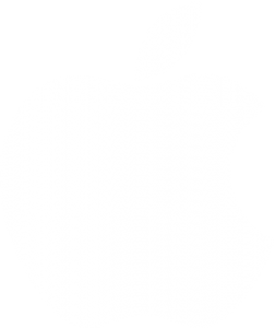 252x300 Apple Icon Logo