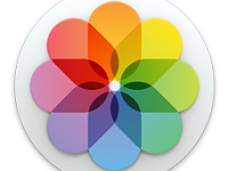 228x171 People Png, Author