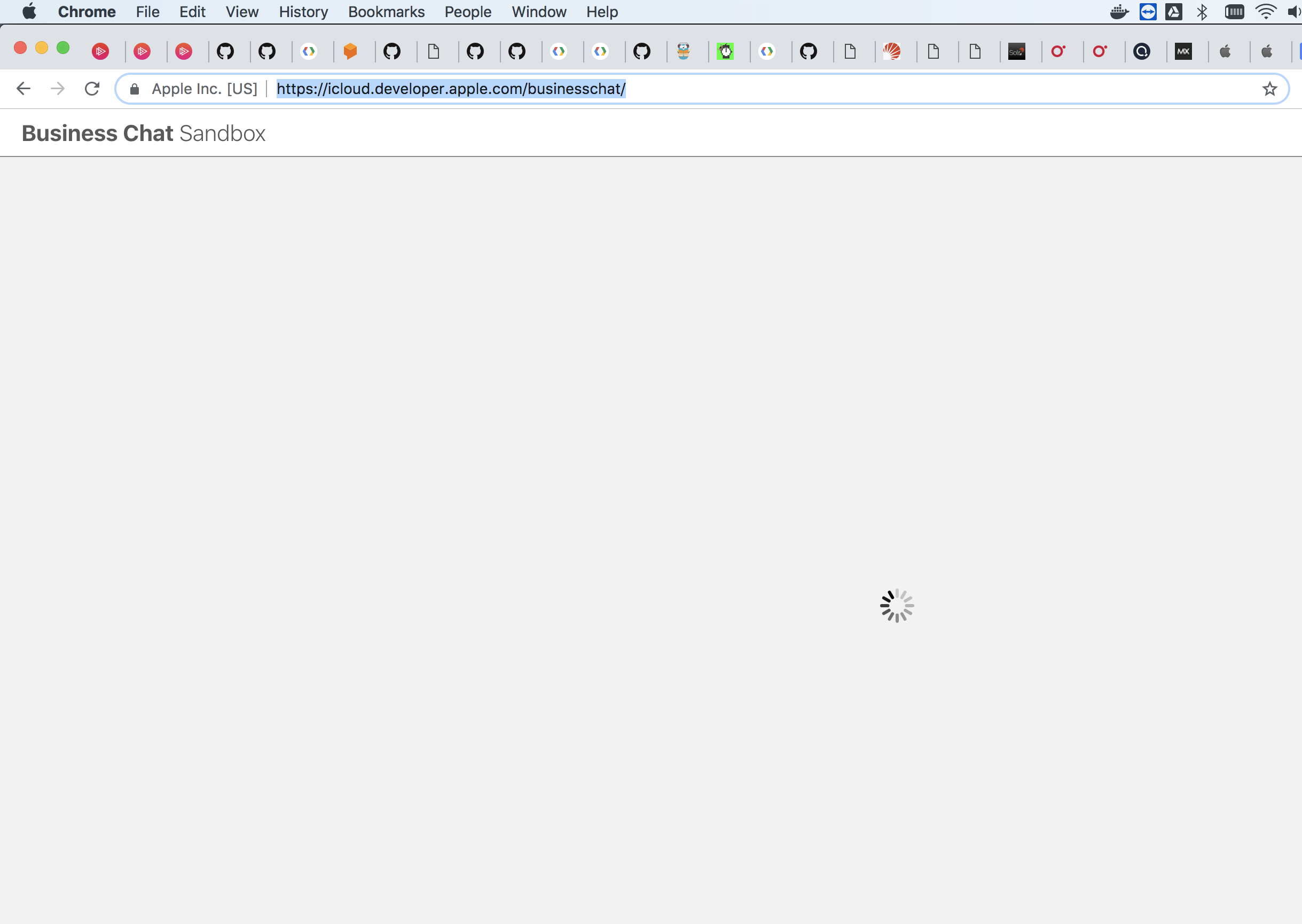 2438x1730 Apple Business Chat Sandbox Not Loading