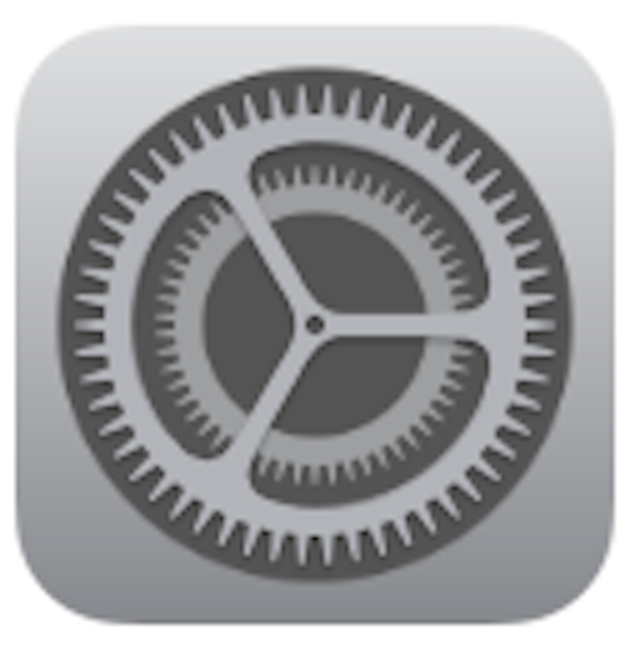 Apple Settings Icon
