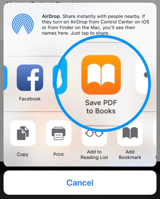 540x672 Apple Books Or Ibooks Missing After The Latest Upgrade, How To Fix
