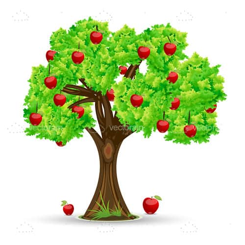 500x500 Red Apple Tree