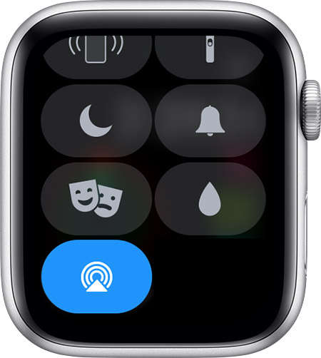 450x502 Status Icons And Symbols On Apple Watch