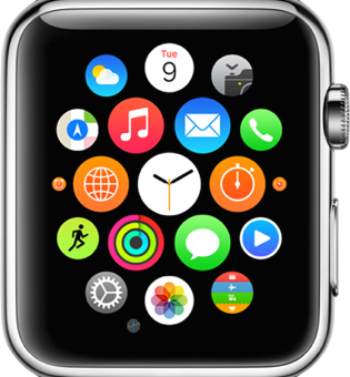 Apple Watch Icon