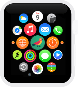256x283 Apple Watch Icon Sizes