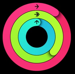 255x252 How To Use The Pedometer On Apple Watch To Count Steps Distance