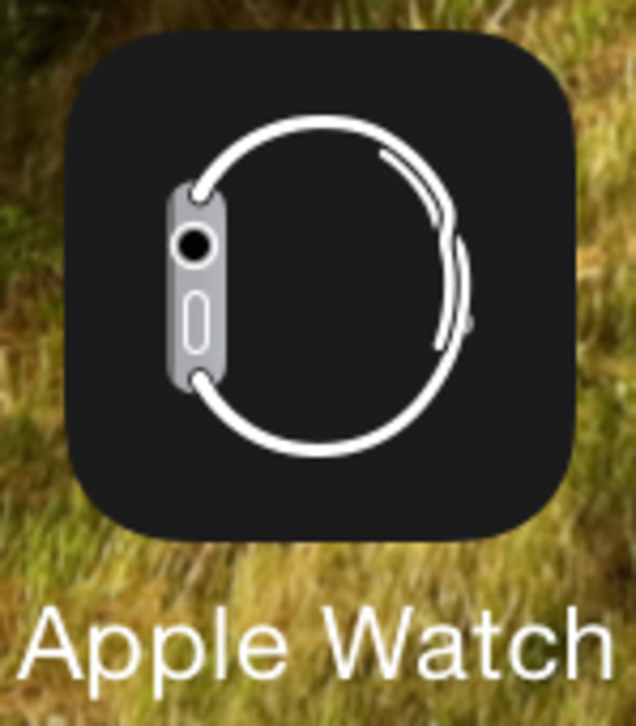 898x1024 Apple Watch App On Ios Technology