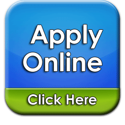 256x256 Apply Online Icon