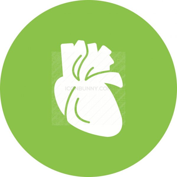 600x600 Heart Flat Round Icon