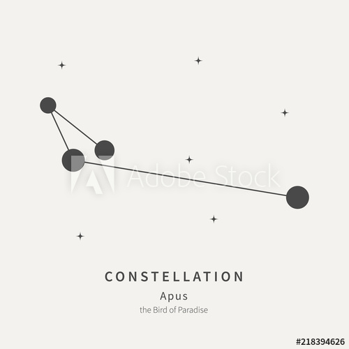 500x500 The Constellation Of Apus The Bird Of Paradise