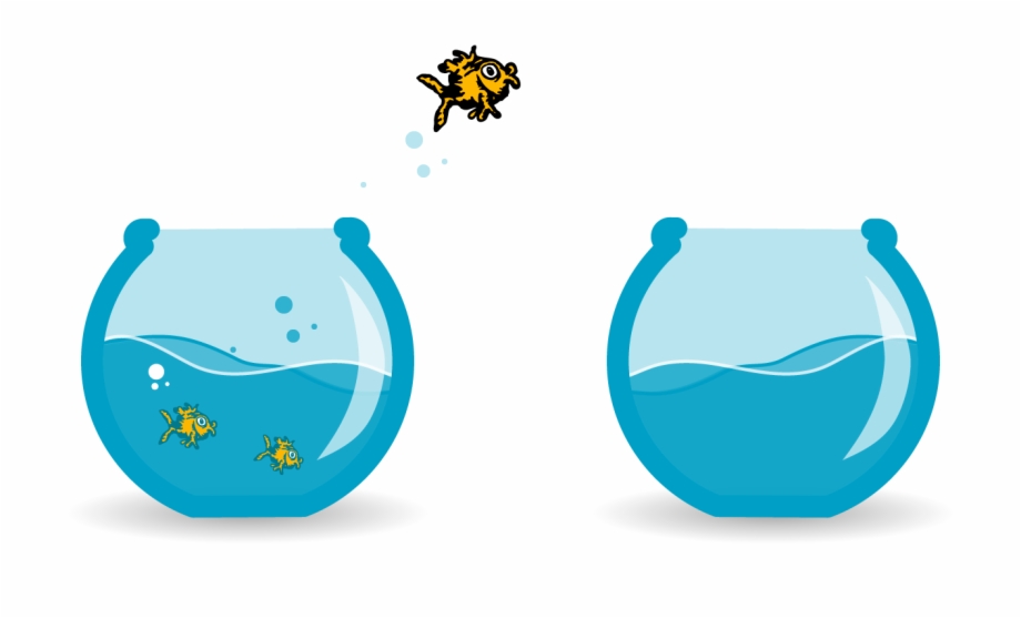 920x557 Fish Bowl Fish Tank Aquarium Goldfish Jump White