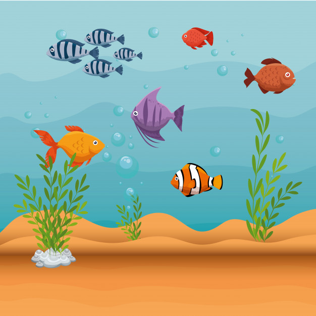 626x626 Set Fish Aquarium Icon Vector Premium Download