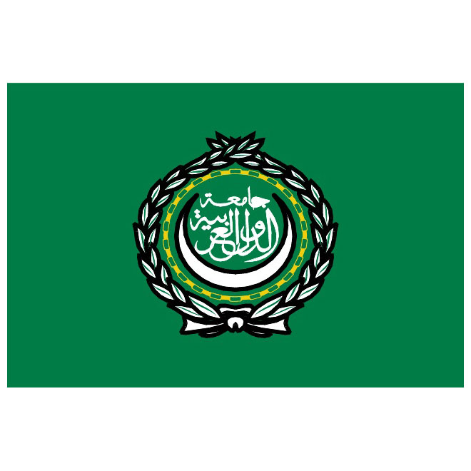 660x660 Flag Of Arab League