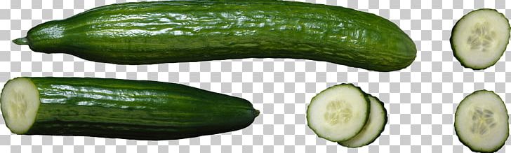 728x219 Archeage Cucumber Icon Computer Png, Clipart, Computer Icons