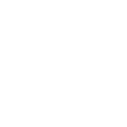 256x256 White Aries Icon