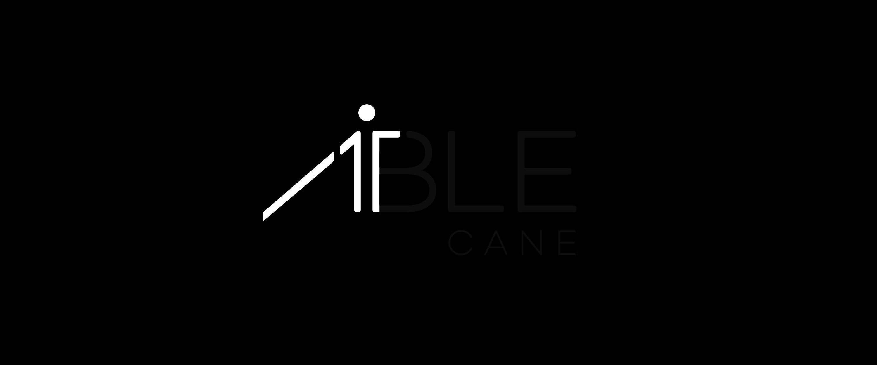 3000x1250 Ark Able Cane Identity Icon Ark Africa