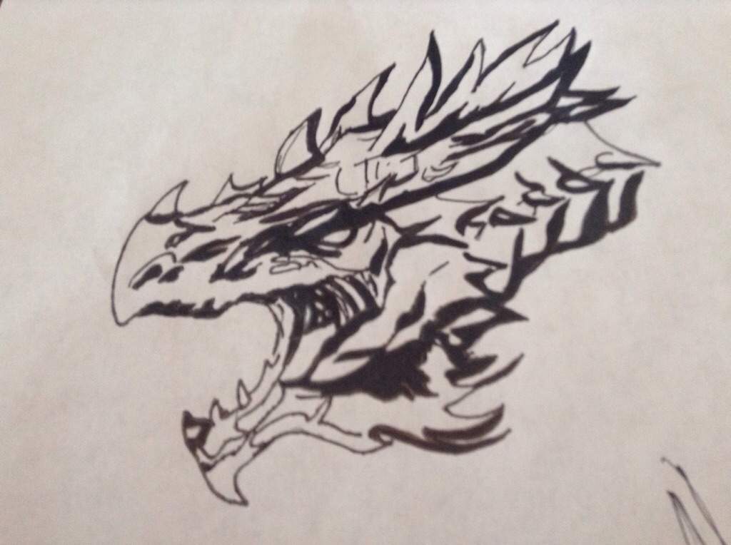 1024x764 Wyvern Icon Drawing Ark Survival Evolved Amino