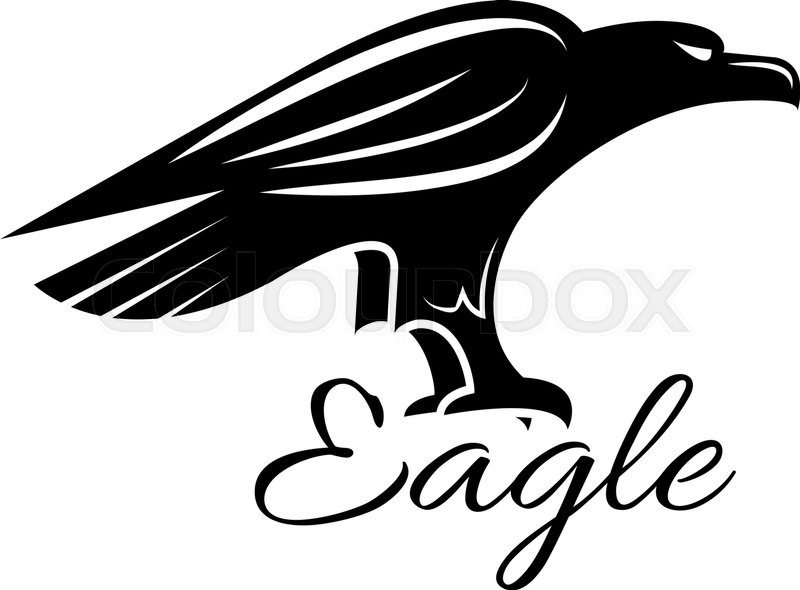 800x590 Eagle Icon Noble Black Hawk Looking Stock Vector Colourbox