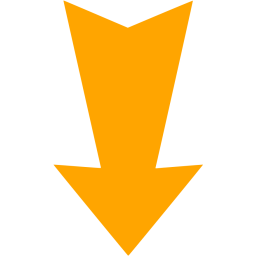 256x256 Orange Arrow Down Icon