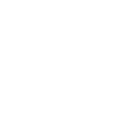 256x256 Arrow Pointing Down Inside A Circle Outline Icon Tri State