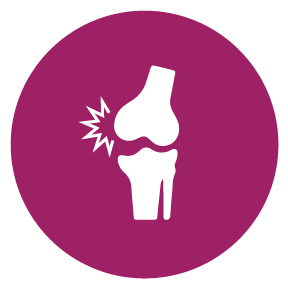 288x288 Arthritis Fox Rehabilitation