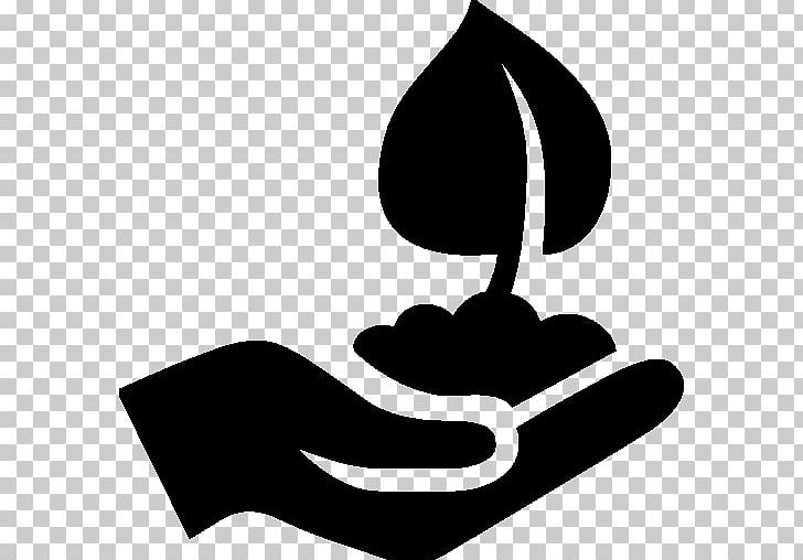 728x508 Computer Icons Icon Design Sowing Tree Planting Seed Png, Clipart