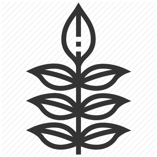 512x512 Ash, Leaf, Leaves, Nature, Plant Icon