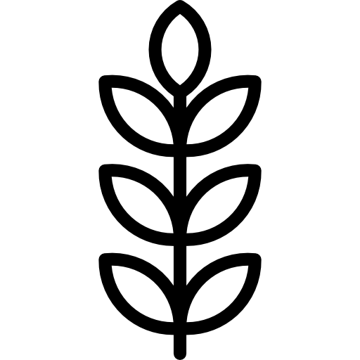 512x512 American Mountain Ash Icons Free Download