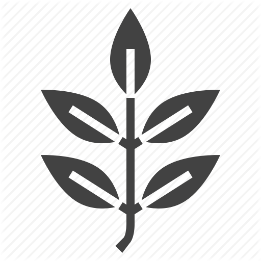 512x512 Ash, Autumn, Leaf, Nature, Tree Icon