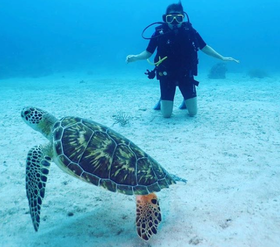 280x247 Life At Icon Healthcare Staffing Portland Icon Medical Network