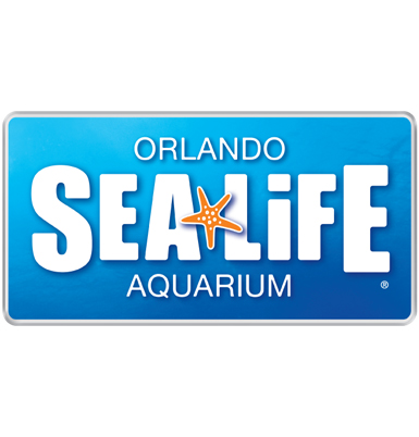 385x402 Top Things To Do