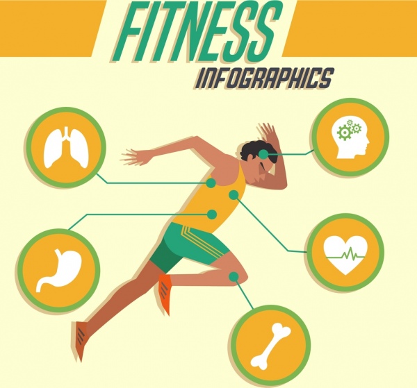 600x559 Fitness Infographics Athlete Icon Organs Silhouette Decoration