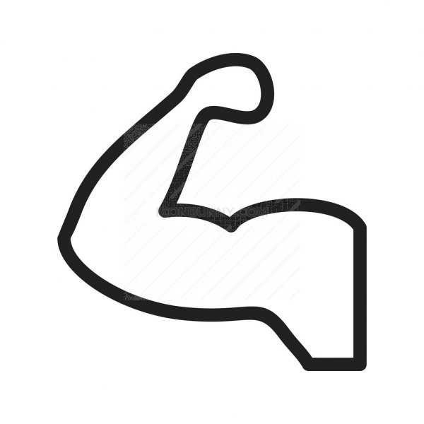 600x600 Muscles Line Icon