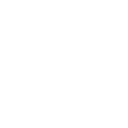 256x256 White Atomic Icon