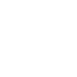 256x256 White Audio Icon