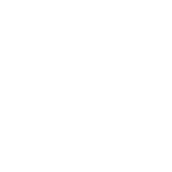 250x250 Audittrail Icon