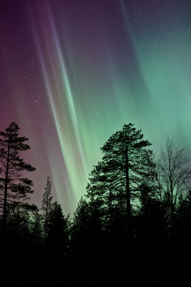 668x1000 New Fine Collection Icon Nova Best Northern Lights, Aurora