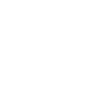 300x300 Australia Icon Transparent White