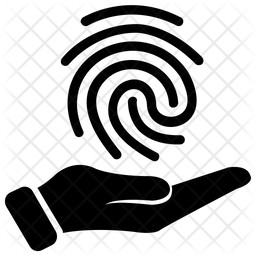 256x256 Authentic Data Icon Of Glyph Style