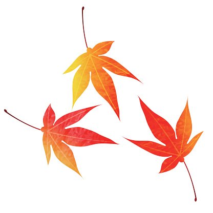 416x416 Autumn Leaves Maple Autumn Icon Premium Clipart