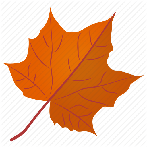 512x512 Autumn Leaf, Foliage, Leaf In Fall, Maple Leaf, Sugar Maple Icon