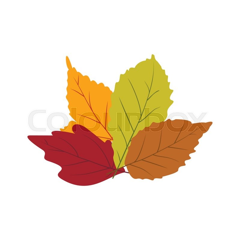 800x800 Fall Leaf Icon