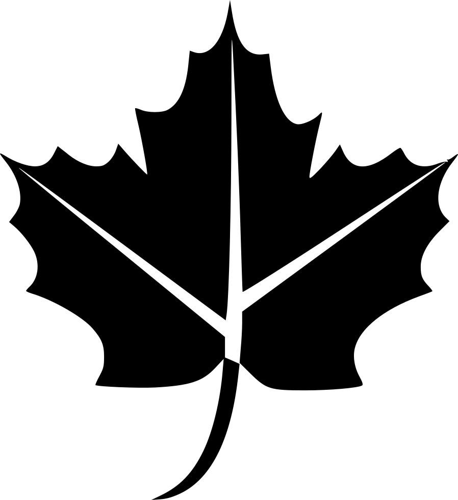 898x980 Leaf Autumn Png Icon Free Download