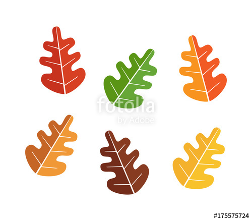 500x438 Oak Leaves Set, Autumn Icon Vector Illustrations Fall Colorful
