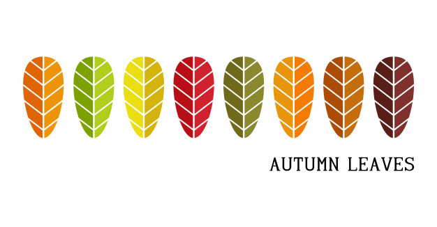 626x326 Autumn Leaves Background, Colorful Leaf Icon For Design Logo