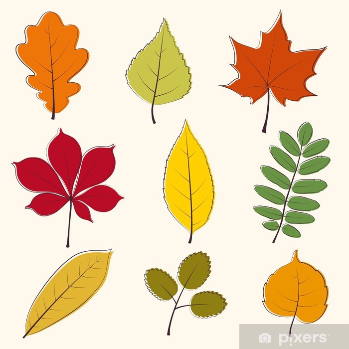700x700 Autumn Leaves Icon Poster
