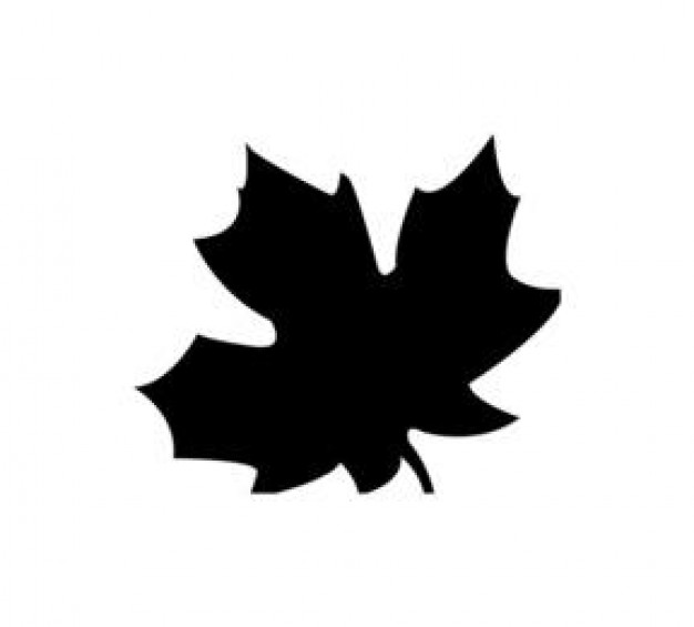 626x565 Fall Leaf Icon