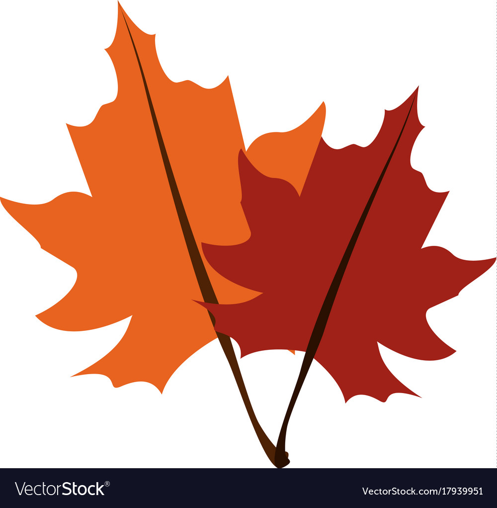 1000x1021 Fall Leaf Icon