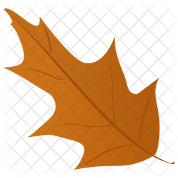 256x256 Mistletoe Leaf Icon Of Flat Style