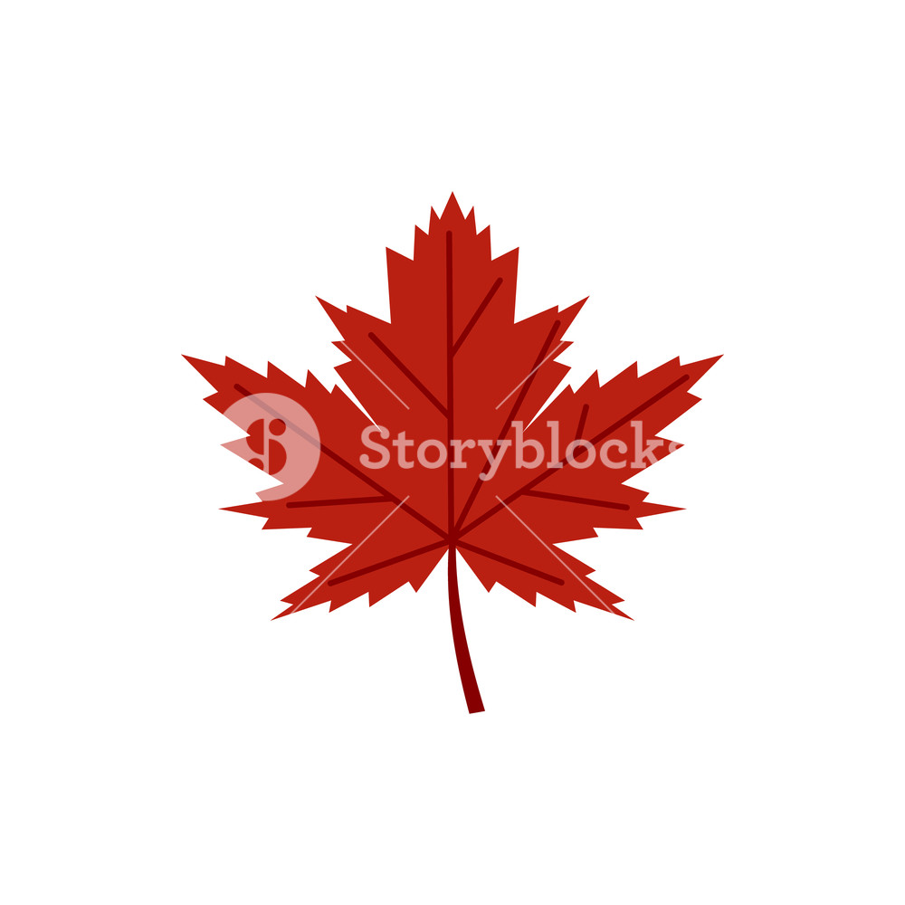 1000x1000 Red Autumn Leaf Icon In Flat Style Isolated On White Background